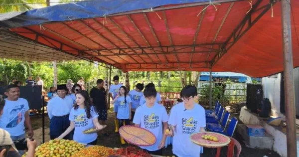 Ketua HKTI Provinsi Maluku Utara Sherly Tjoanda bersama anaknya Edbert Laos saat panen cabai keriting yang didampingi langsung oleh pemilik kebun Hortikultura Sofyan Tomagola di Desa Pilowo, Kecamatan Morotai Selatan.